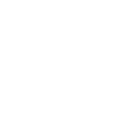 Cruise Icon