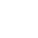 Cruise Icon