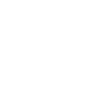 Cruise Icon